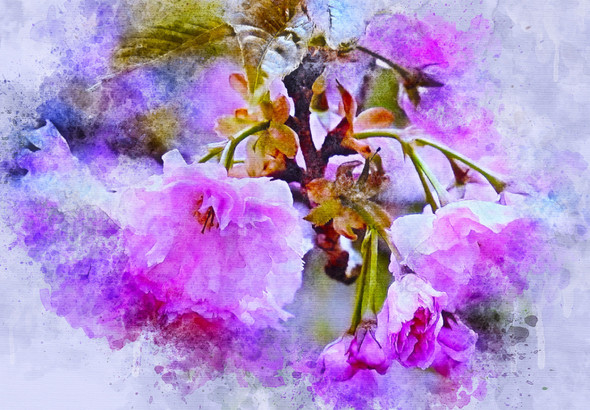 Flowers Leaves  (PRT_7809_70397) - Canvas Art Print - 24in X 16in