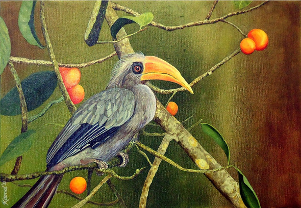 Malabar Grey Hornbill (ART_8160_70356) - Handpainted Art Painting - 15in X 11in