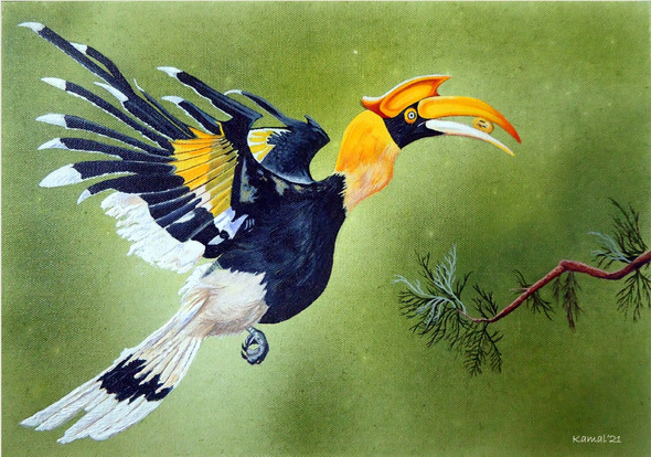 Great Indian Hornbill (ART_8160_70352) - Handpainted Art Painting - 15in X 11in
