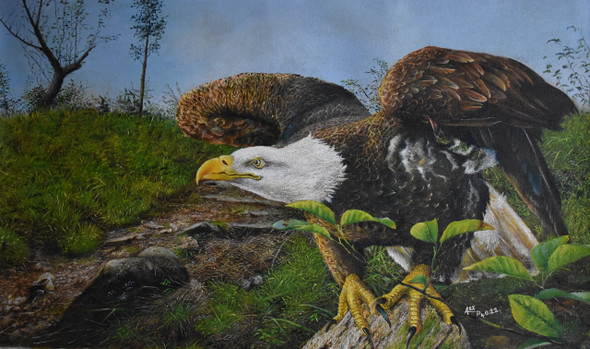 EAGLE- Vigil (ART_479_67283) - Handpainted Art Painting - 38in X 22in