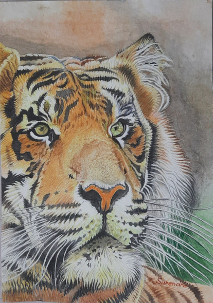TIGER - 94 (ART_7573_70697) - Handpainted Art Painting - 16in X 23in