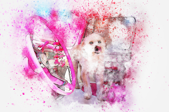 Car_Dog_Pink (PRT_7809_71206) - Canvas Art Print - 26in X 17in