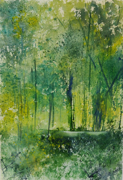 Pathway In Jungle (PRT_8841_71114) - Canvas Art Print - 17in X 24in