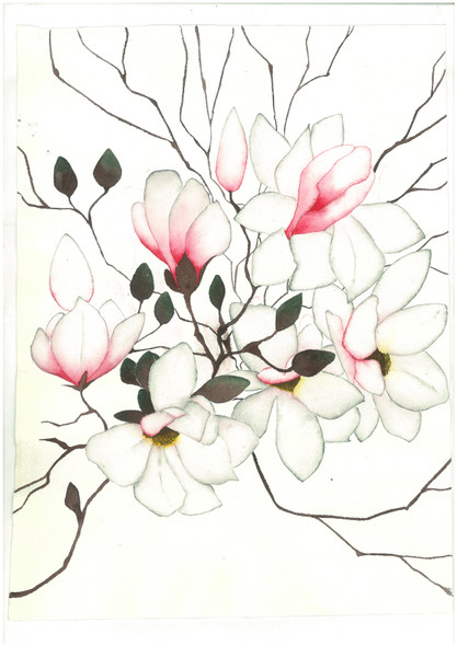 Blooming magnolia - Magnolia flowers and buds (ART_8905_72323) - Handpainted Art Painting - 11in X 15in