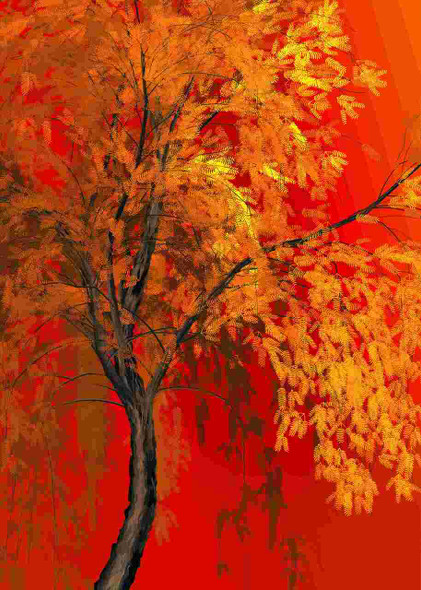 Autumn Golden Tree Tree (PRT_8645_72782) - Canvas Art Print - 17in X 24in