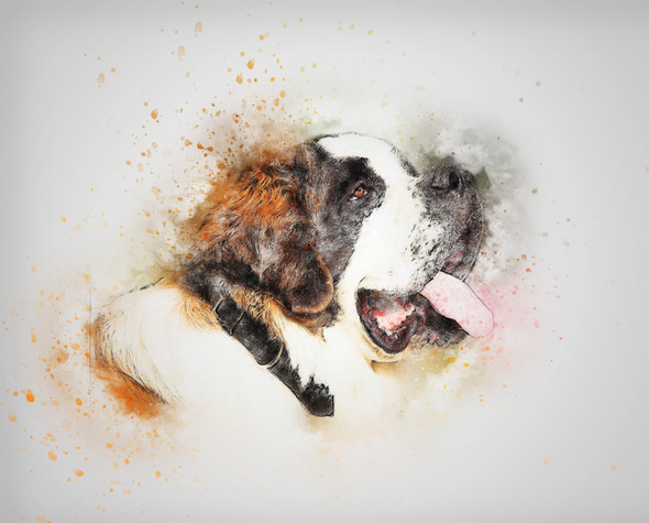 Dog Saint Bernard  (PRT_7809_72995) - Canvas Art Print - 26in X 20in