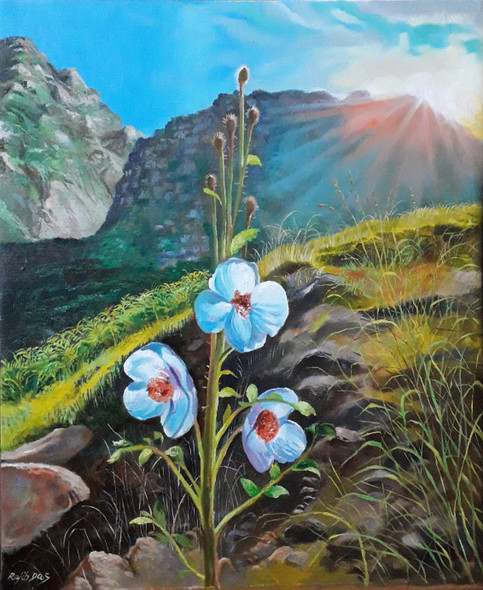 Morning Hill (ART_4209_73095) - Handpainted Art Painting - 16in X 20in