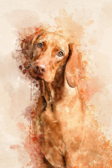 Dog 21  (PRT_7809_73167) - Canvas Art Print - 20in X 30in