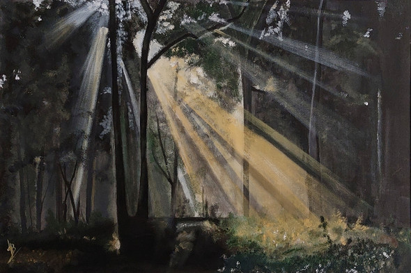 Forest - 01 (PRT_5839_73267) - Canvas Art Print - 24in X 16in