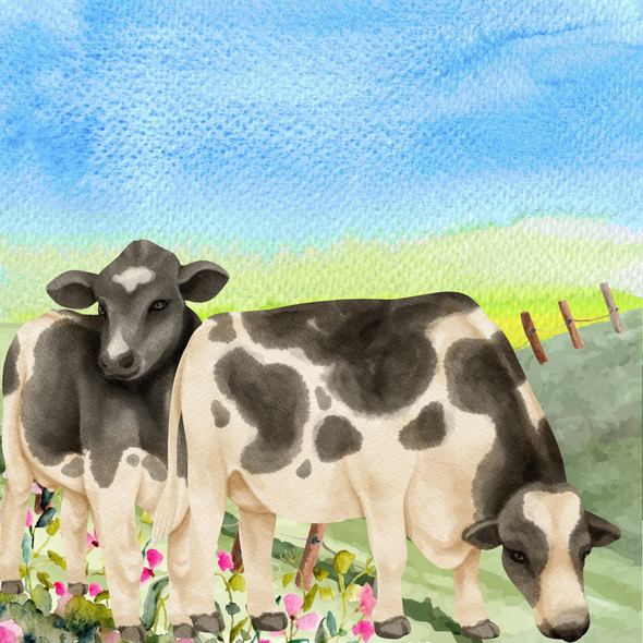 The Meadow Cows (PRT_8429_73348) - Canvas Art Print - 24in X 24in