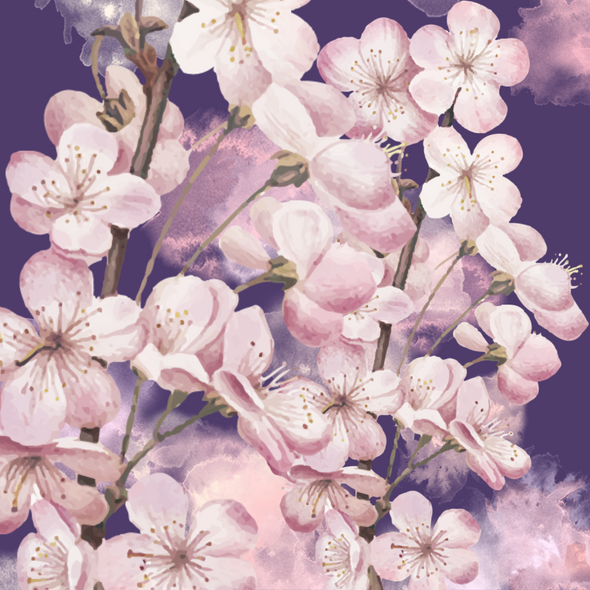 Cherry Blossoms  (PRT_8429_73328) - Canvas Art Print - 24in X 24in