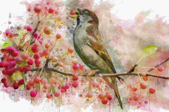 Bird On Tree (PRT_8645_73516) - Canvas Art Print - 24in X 16in