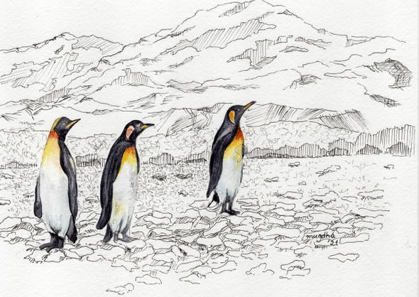 Three Penguins (PRT_8121_67633) - Canvas Art Print - 24in X 16in