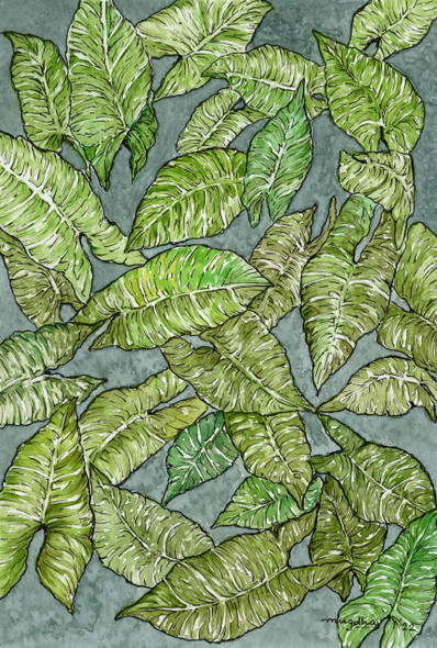 Colocasia Leaves (PRT_8121_67631) - Canvas Art Print - 24in X 16in