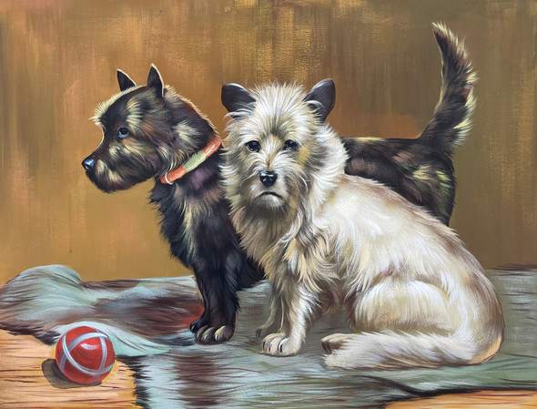 SCOTTIE AND CAIRN TERRIER DOG PAINTING (ART_3319_73721) - Handpainted Art Painting - 36in X 24in