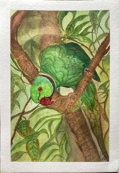 Green Parrot On Tree (ART_8729_73894) - Handpainted Art Painting - 12 in X 16in