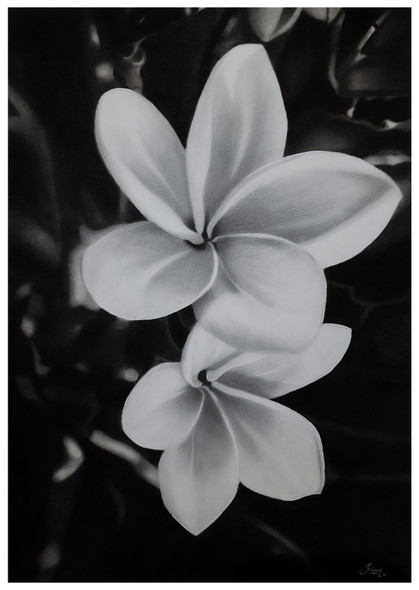 Plumeria (ART_9000_74462) - Handpainted Art Painting - 8in X 12in