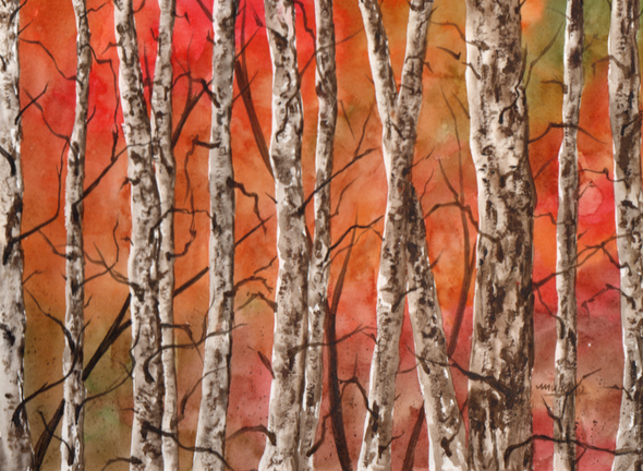 Birch Forest In Autumn (PRT_8121_74799) - Canvas Art Print - 24in X 16in