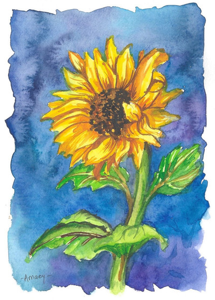 Beautiful Sunflower  (PRT_7989_74627) - Canvas Art Print - 8in X 11in