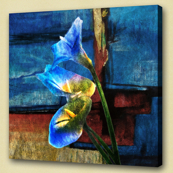 flower, blue flower, tulips