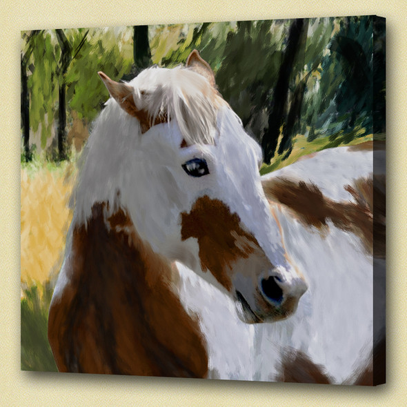 abstract horse, horse, horse in farm