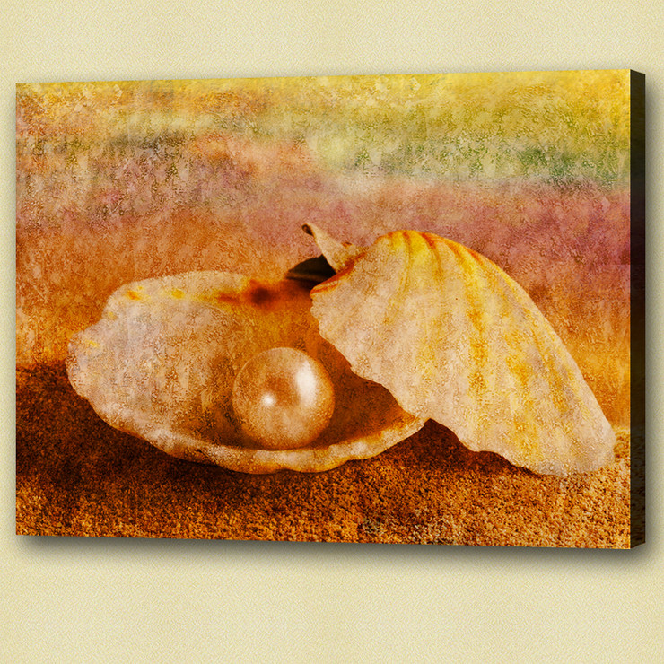 abstract, pearl, oyster, white pearl