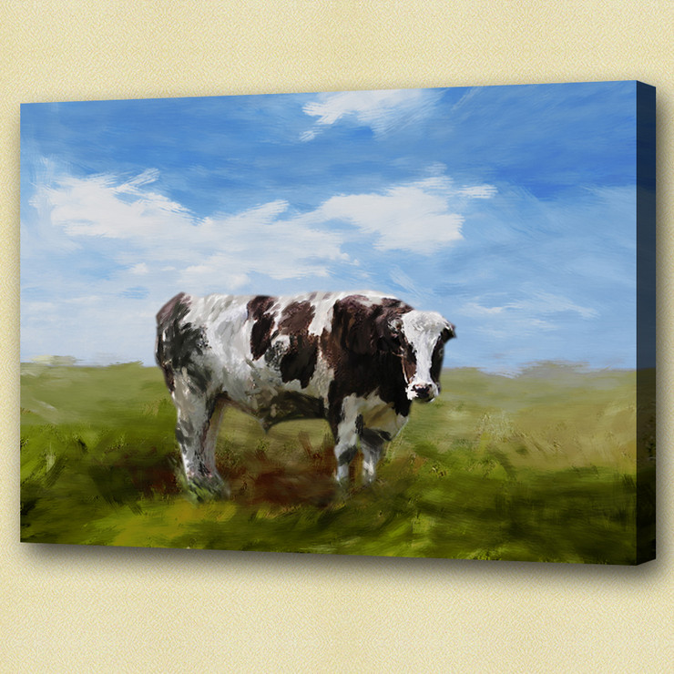cow, white cow, balck cow, cow in farm, farm