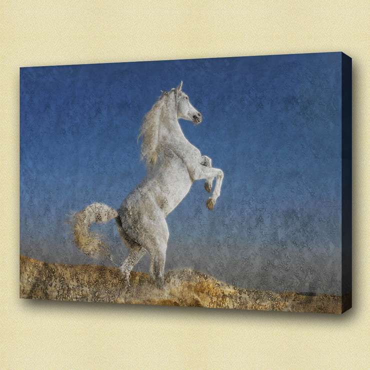 horse, white horse, galloping horse, galloping white horse