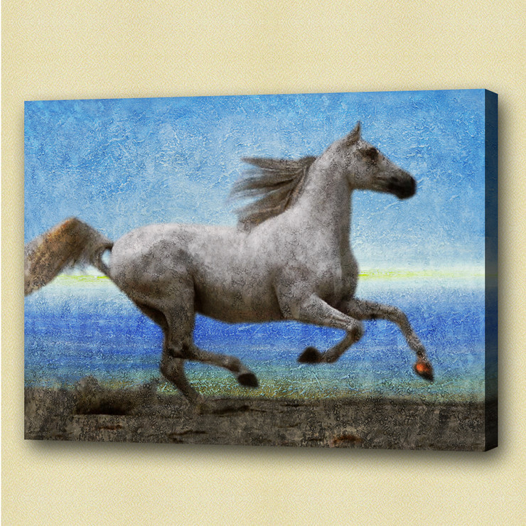 horse, white horse, galloping horse, galloping white horse , running horse