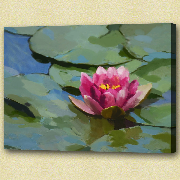 lotus, lotus in pond, pink lotus, leaves