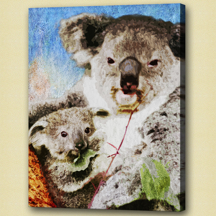 koala,stocky animal,wild life,wild animal,zoo  animal,The Koala and Baby
