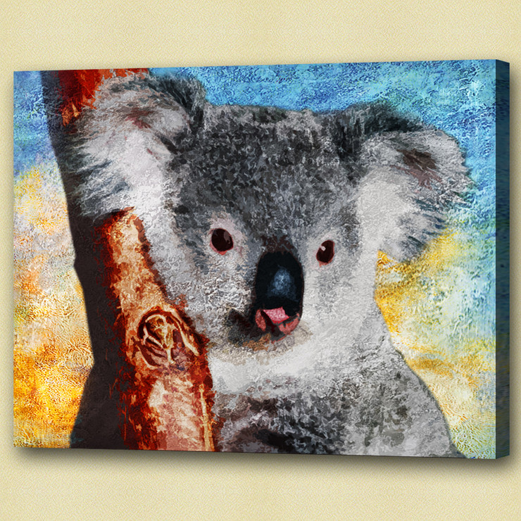 koala,stocky animal,wild life,wild animal,zoo  animal