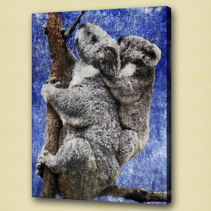 koala,stocky animal,wild life,wild animal,zoo  animal baby koala