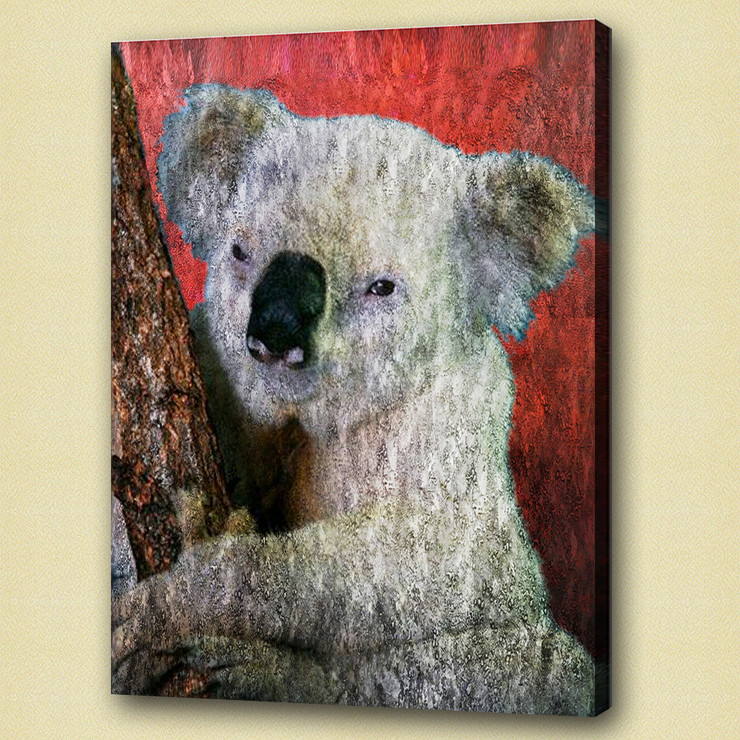 koala,stocky animal,wild life,wild animal,zoo  animal baby koala