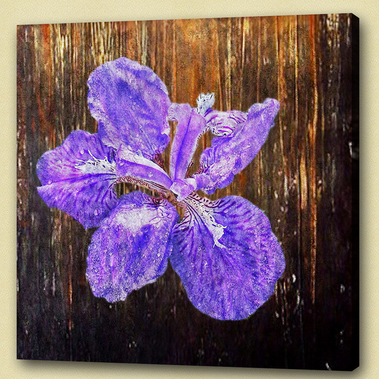 Flower,Floral,Petals,Beauty of flower