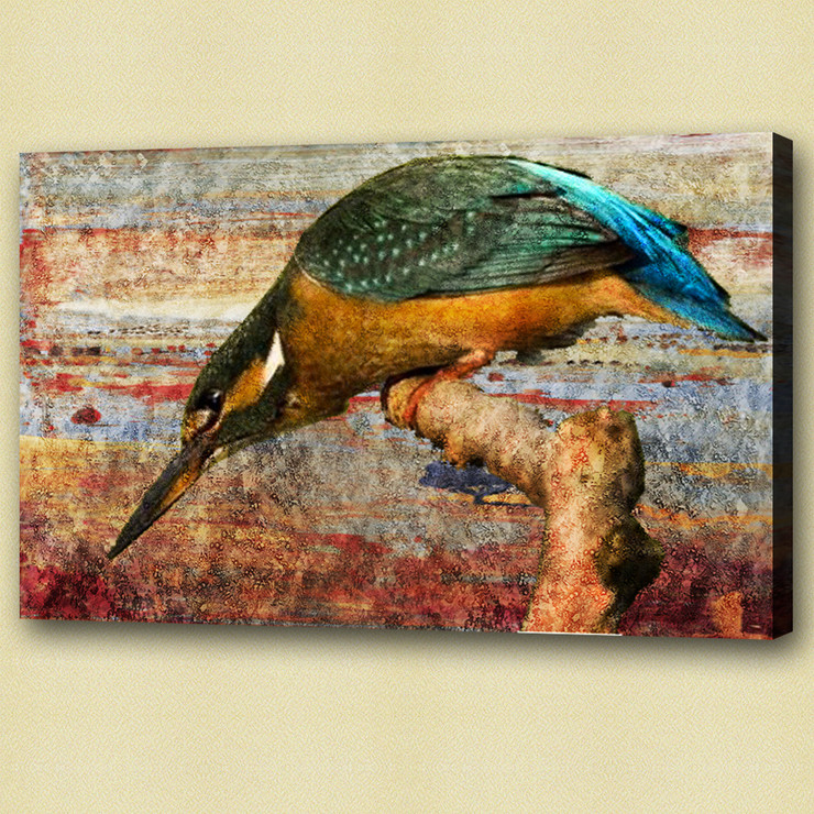 Birds,flying,aves,feathres,Beak