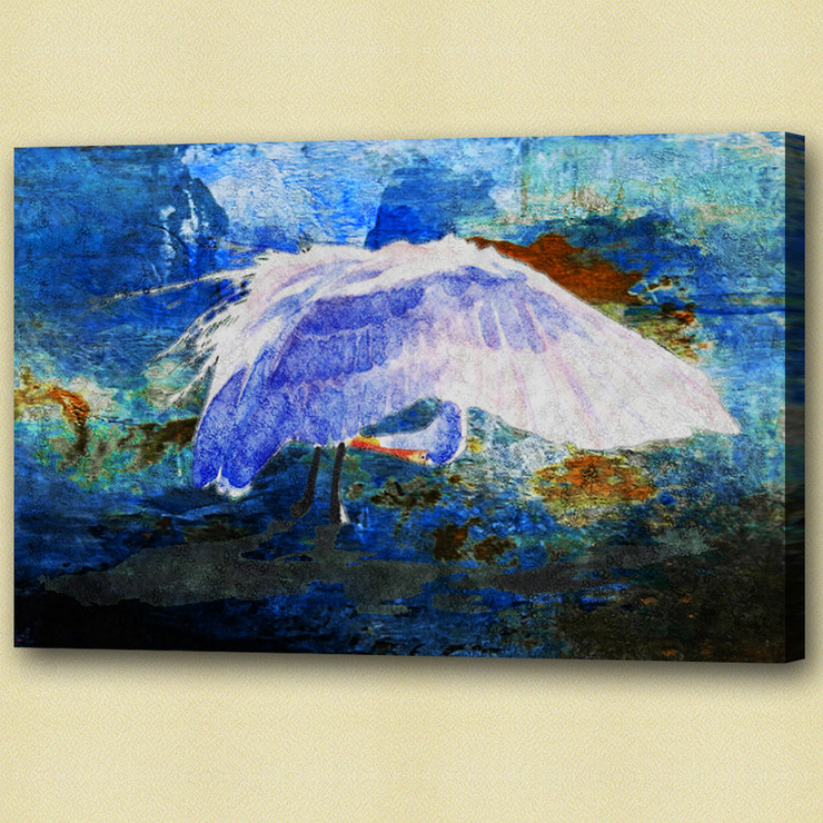 Birds,flying,aves,feathres,Beak