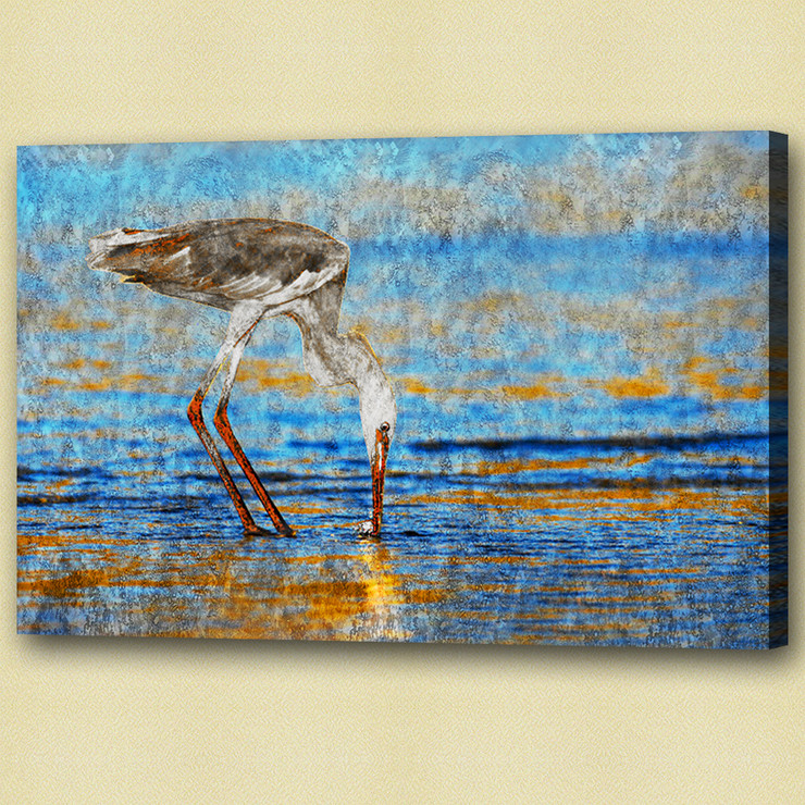 Birds,flying,aves,feathres,Beak