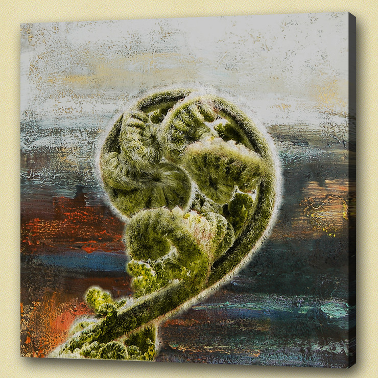 Fern leaf , vascular plants,mosses