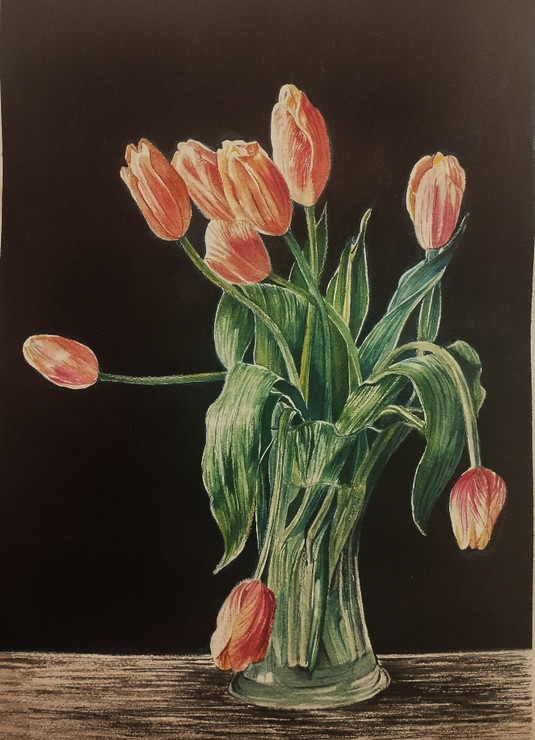 Tulips in a vase (ART_9040_75159) - Handpainted Art Painting - 12in X 17in