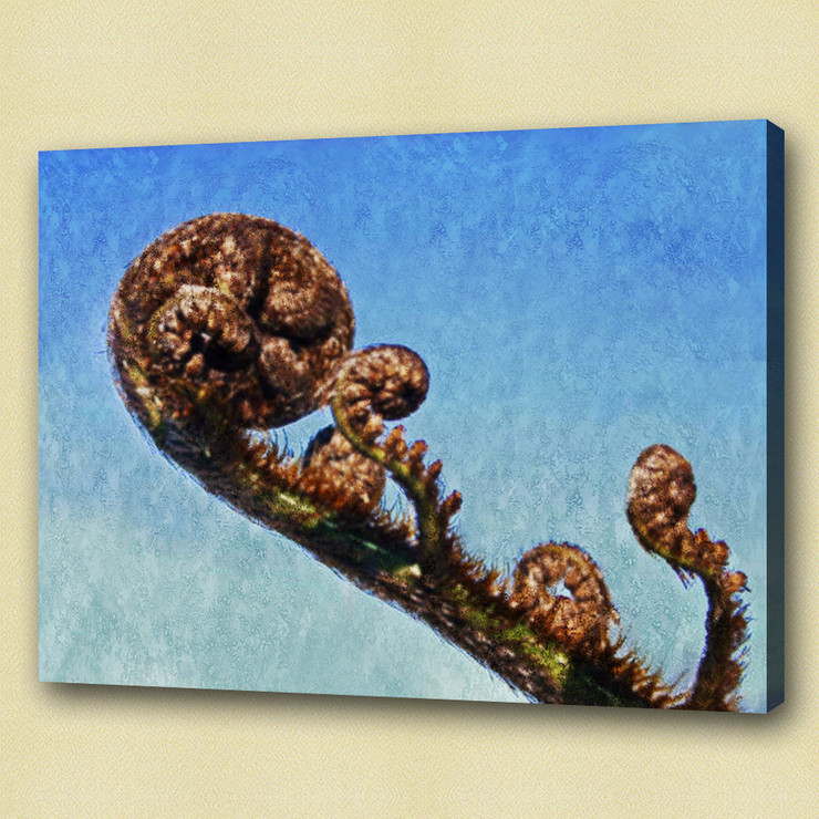 Fern leaf , vascular plants,mosses