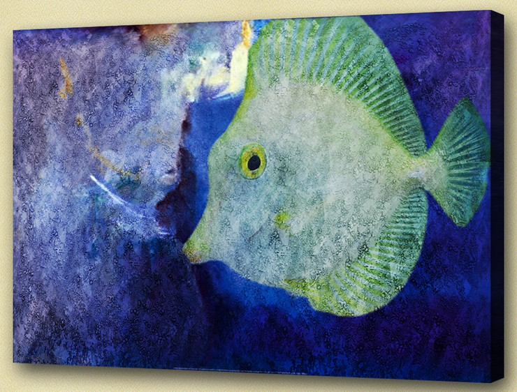 Fish,Aqua Life, Aquatic Craniate,water animal, aquaculture