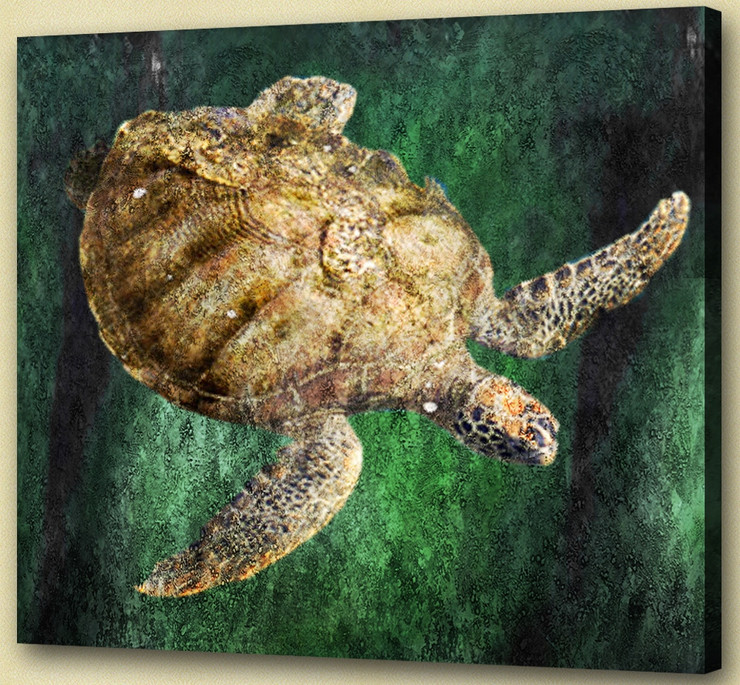 Aqua Life, Aquatic Craniate,water animal, aquaculture,
