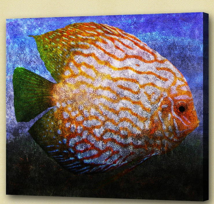 Aqua Life, Aquatic Craniate,water animal, aquaculture,