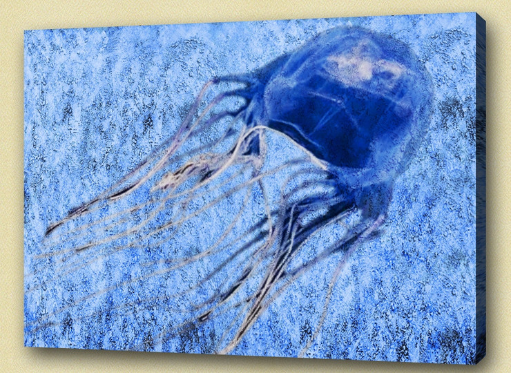 Auarium,Aqua Culture,Aquatic animal