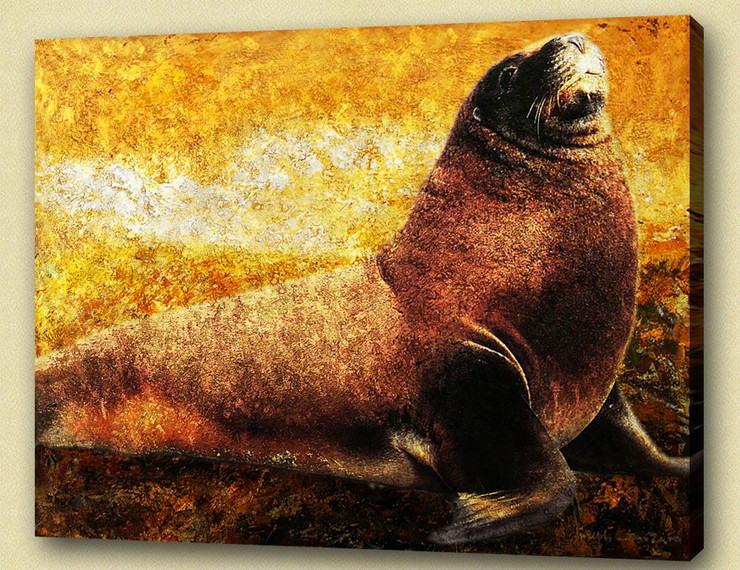 Auarium,Aqua Culture,Aquatic animal