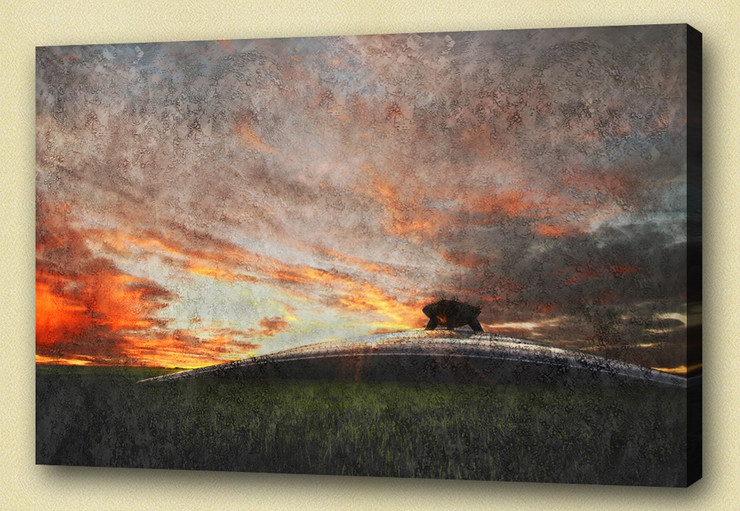 Landscape,Nature,Gold Coast,Scenery