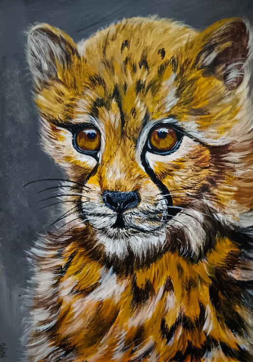 Tiger Cub (PRT_7602_75313) - Canvas Art Print - 8in X 11in