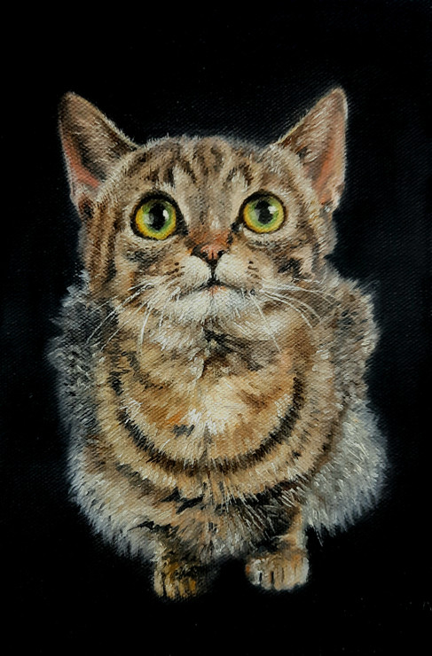 A Cat (ART_9078_75898) - Handpainted Art Painting - 7in X 10in