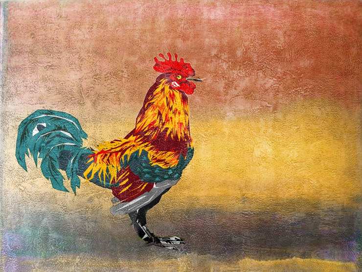 Bird,Cock,Rooster,cockerel